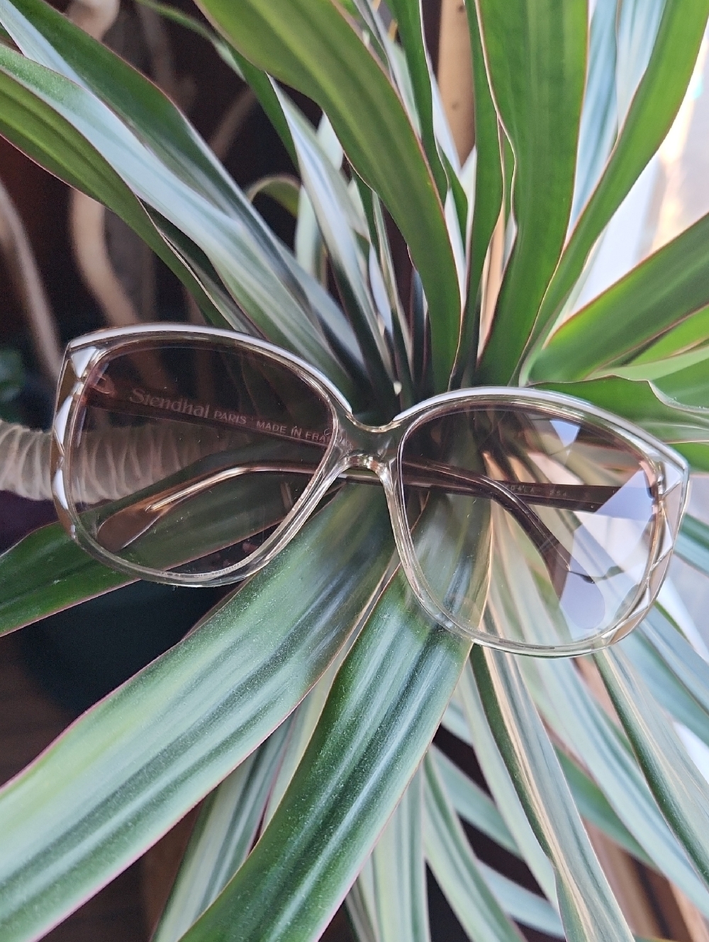 Women's Oversized Stendhal Paris Sunglasses in Light Brown